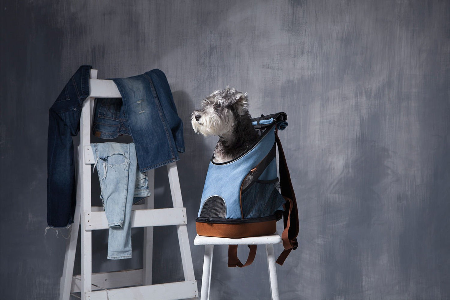 Denim Fun Lightweight Pet Backpack-3