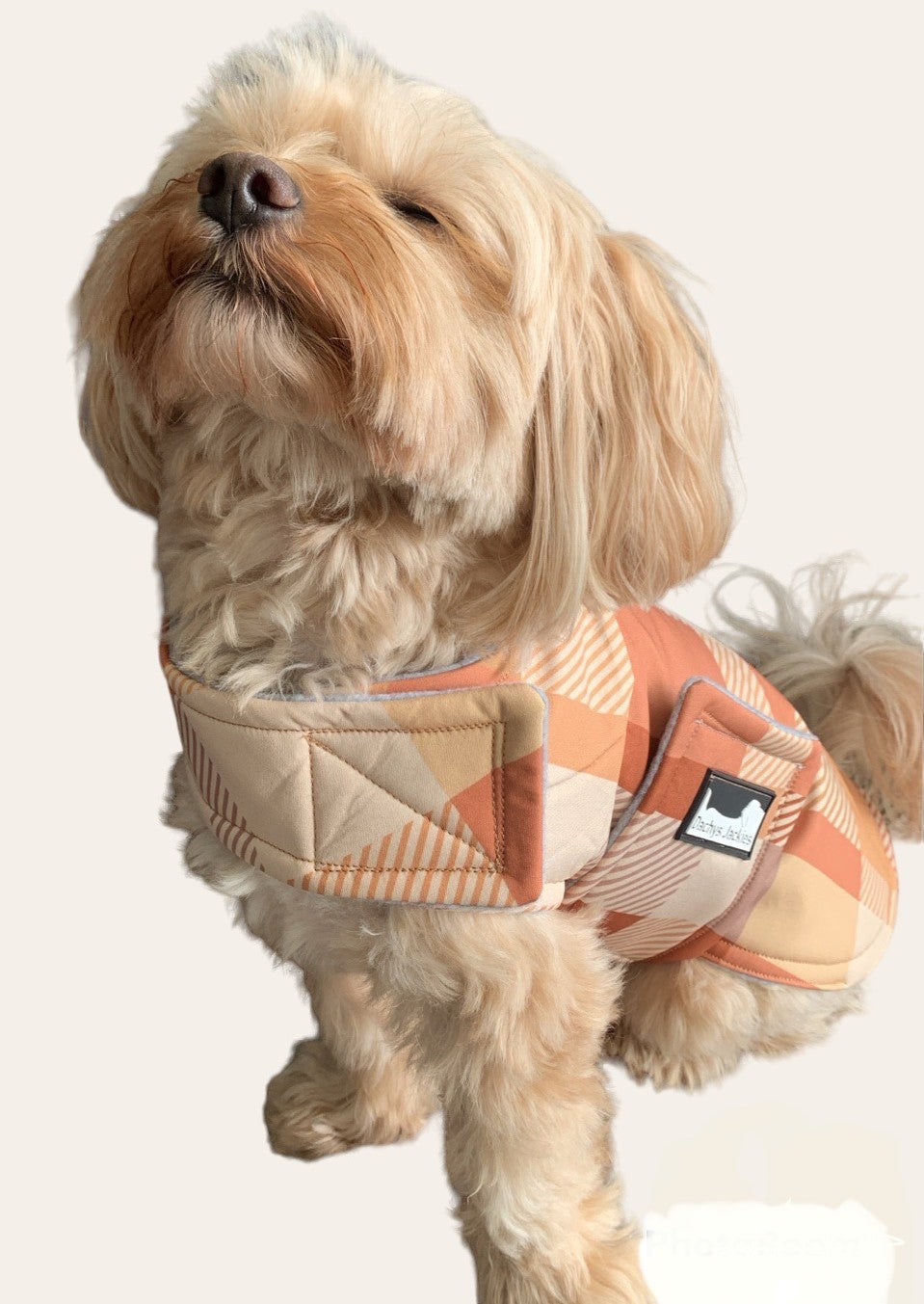Waterproof Dog Jacket Rain Coat - Water Wind Resistant Small Vest - Caramel-2