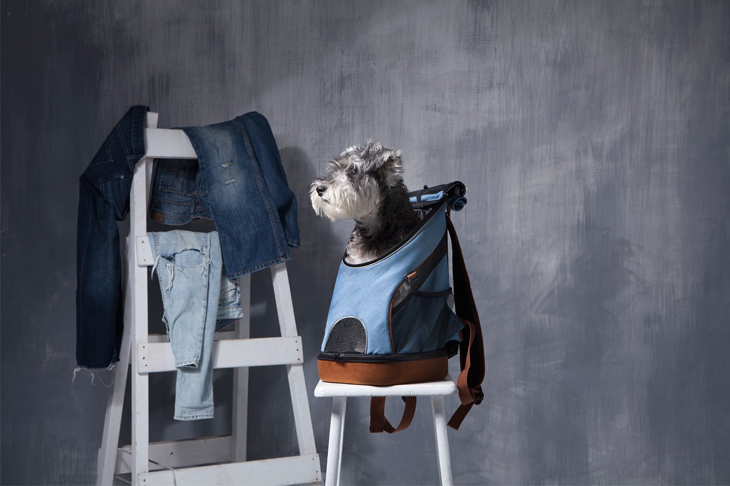 Denim Fun Lightweight Pet Backpack-3