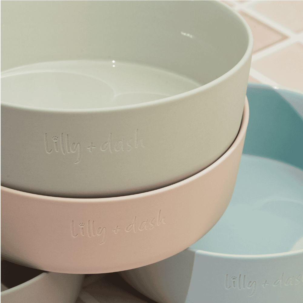 large pet bowls-0