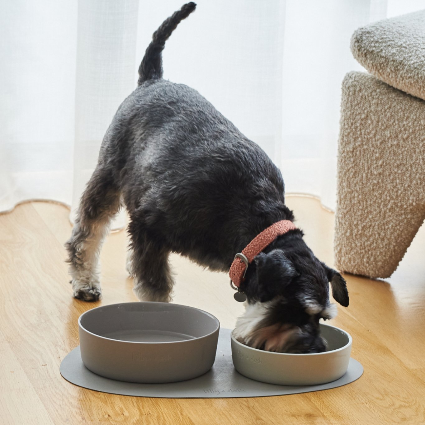 large pet bowls-3