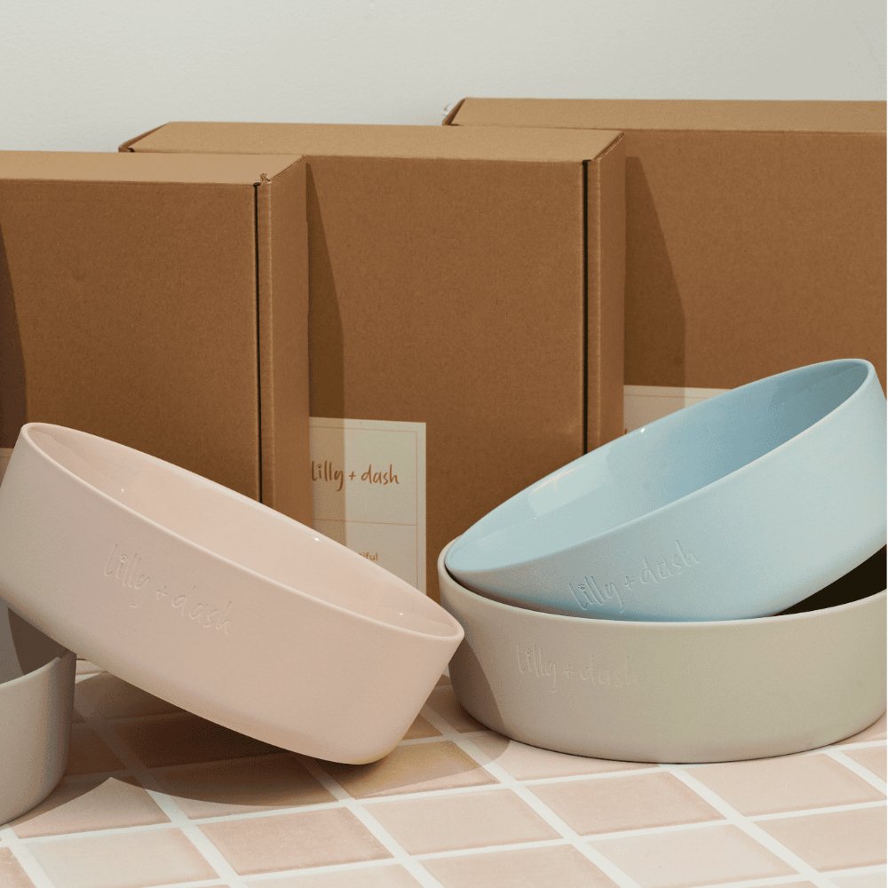 large pet bowls-4