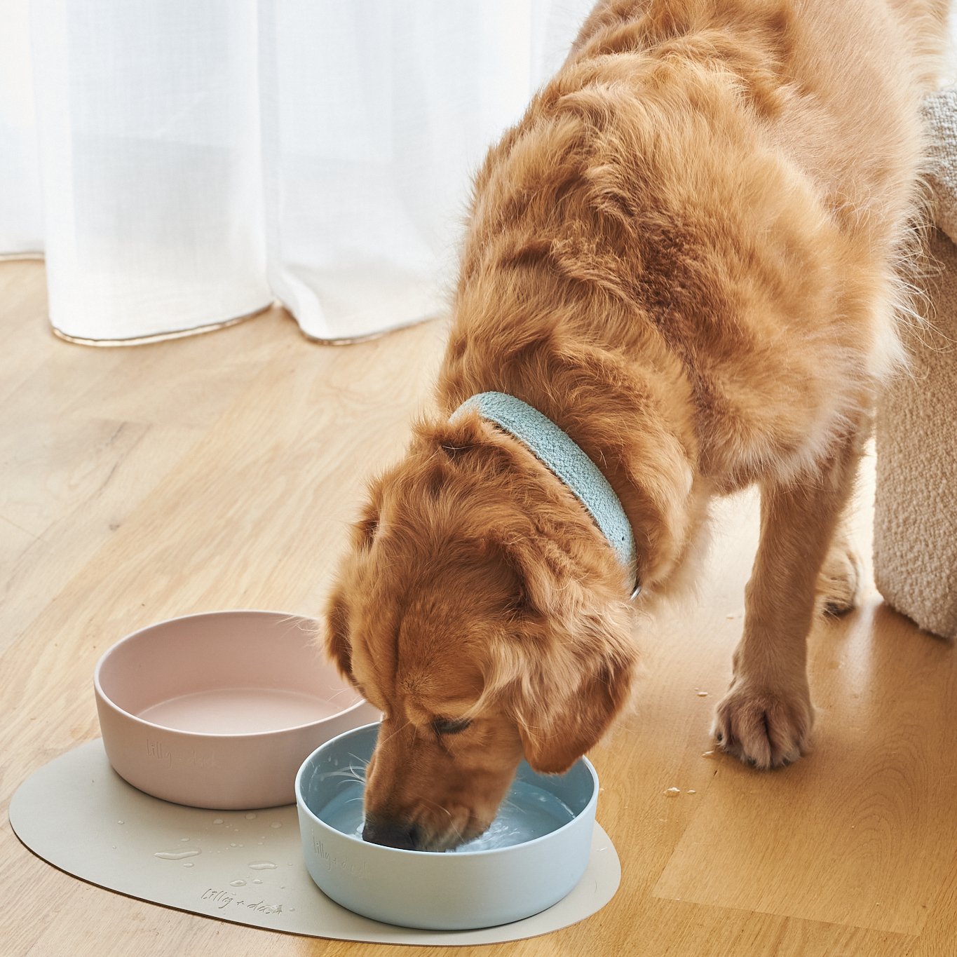 large pet bowls-1